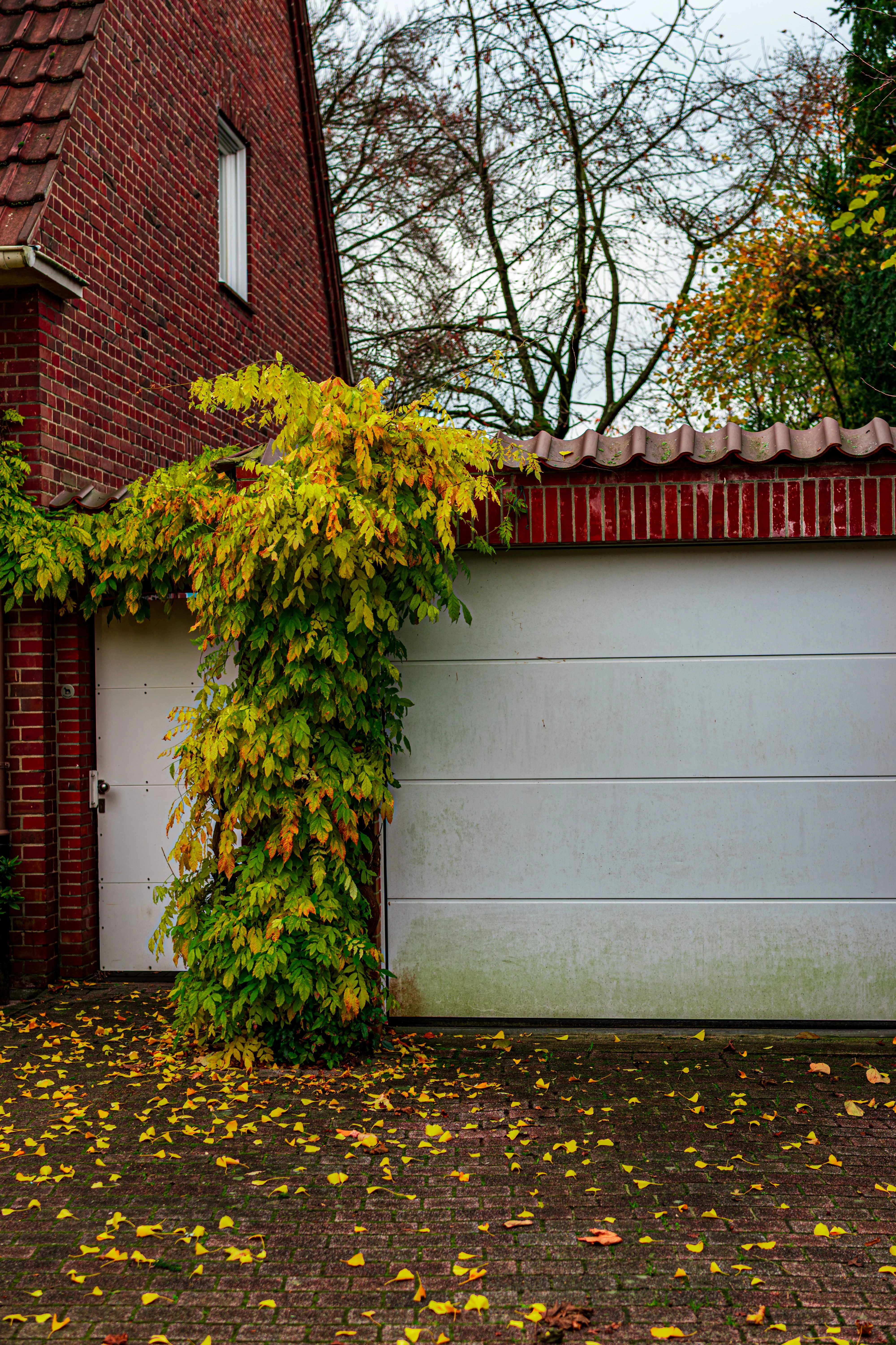 Residential garage door in Waxahachie